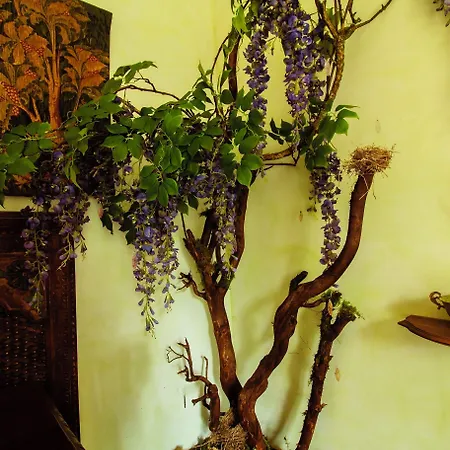 Le Chateau De Sorgues 3* Cornus