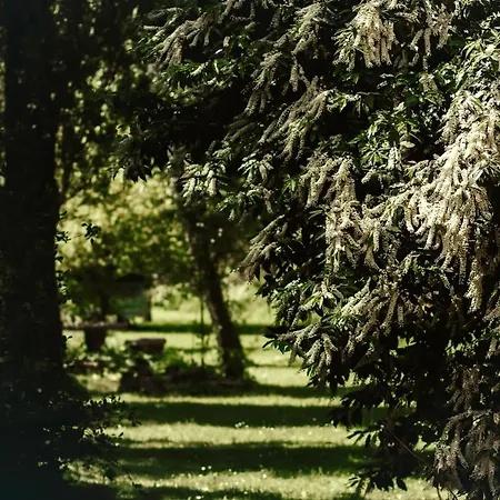 Le Chateau De Sorgues Cornus