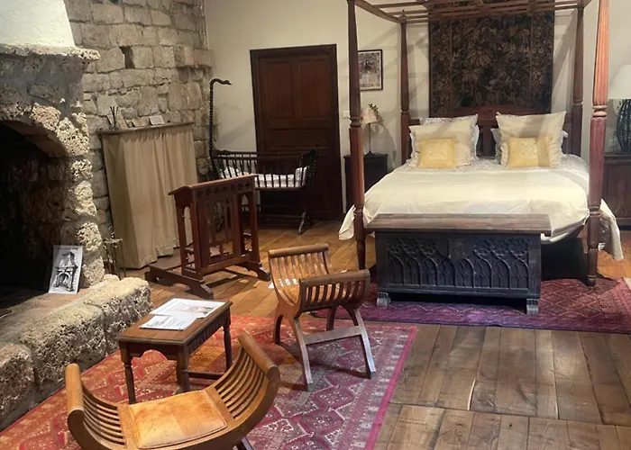 住宿加早餐酒店 Le Chateau De Sorgues