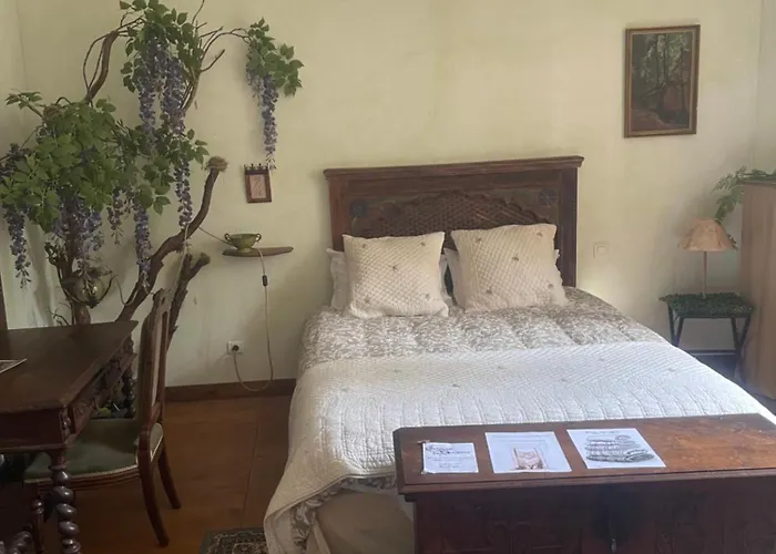 Bed & Breakfast Le Chateau De Sorgues 3*